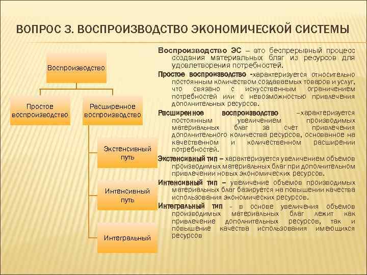 Последовательность стадий воспроизводства