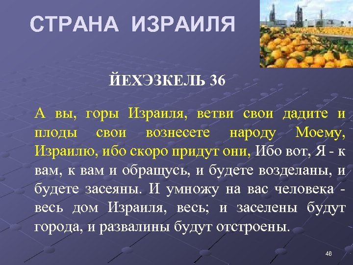 СТРАНА ИЗРАИЛЯ • ЙЕХЭЗКЕЛЬ 36 • А вы, горы Израиля, ветви свои дадите и