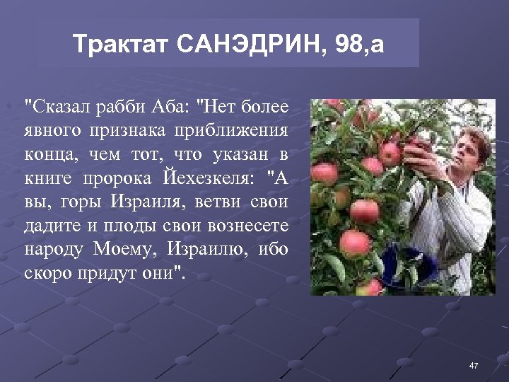 Трактат САНЭДРИН, 98, а • "Сказал рабби Аба: "Нет более явного признака приближения конца,