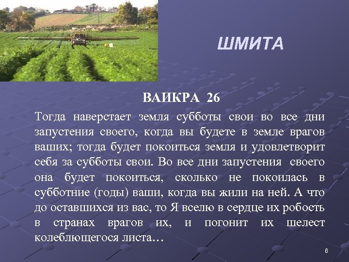 ШМИТА • ВАИКРА 26 • Тогда наверстает земля субботы свои во все дни запустения