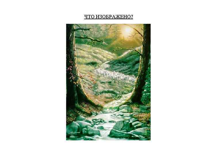 ЧТО ИЗОБРАЖЕНО? 
