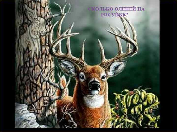СКОЛЬКО ОЛЕНЕЙ НА РИСУНКЕ? 