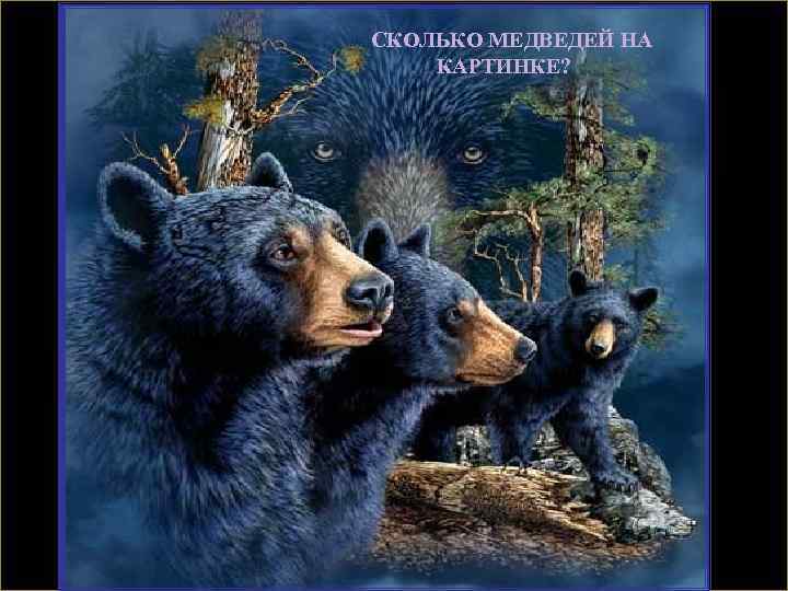 СКОЛЬКО МЕДВЕДЕЙ НА КАРТИНКЕ? 