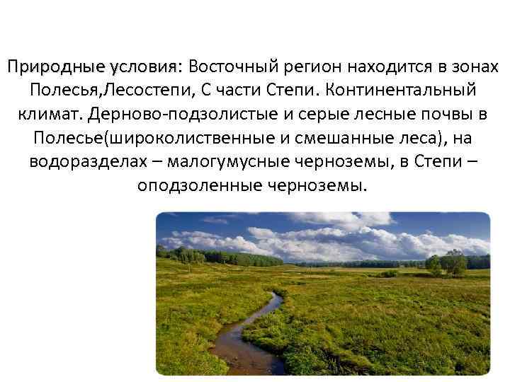 Природные условия: Восточный регион находится в зонах условия Полесья, Лесостепи, С части Степи. Континентальный