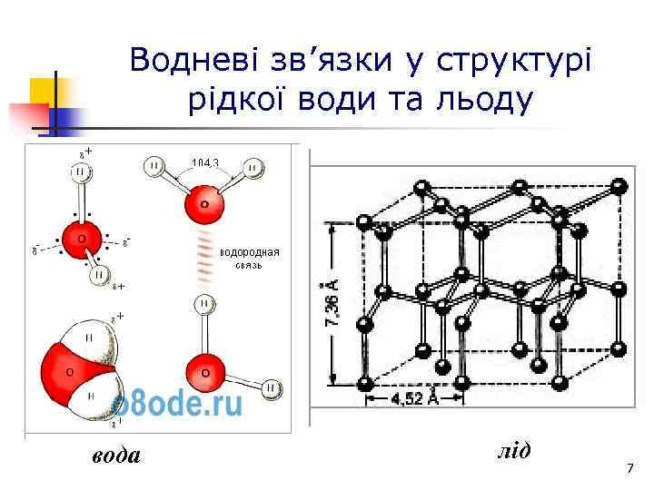 Водневі зв’язки у структурі рідкої води та льоду вода лід 7 