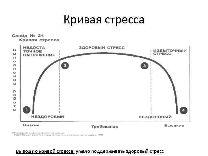 Кривая стресса Вывод по кривой стресса: умело поддерживать здоровый стресс 