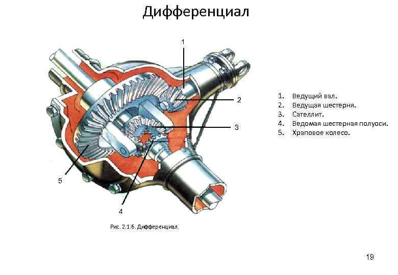 Дифференциал 1 2 3 1. 2. 3. 4. 5. Ведущий вал. Ведущая шестерня. Сателлит.