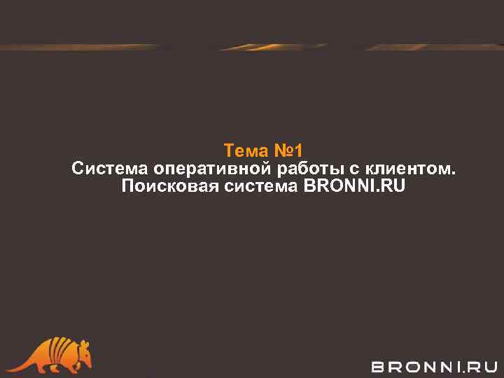 Тема № 1 Система оперативной работы с клиентом. Поисковая система BRONNI. RU 