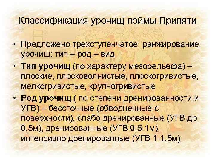 Классификация урочищ поймы Припяти • Предложено трехступенчатое ранжирование урочищ: тип – род – вид