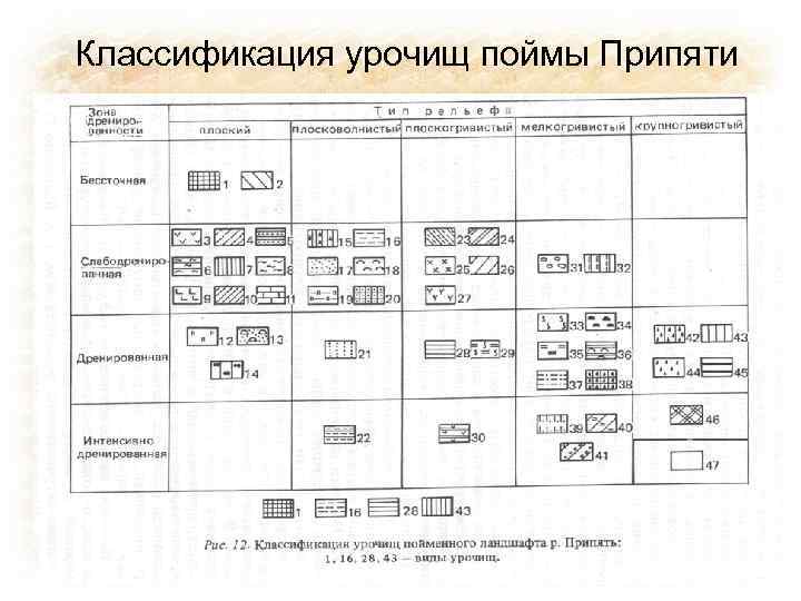 Классификация урочищ поймы Припяти • Модуль 1 – История формирования ландшафтоведения • Тесты :