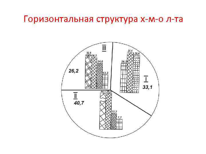 Горизонтальная структура х-м-о л-та 