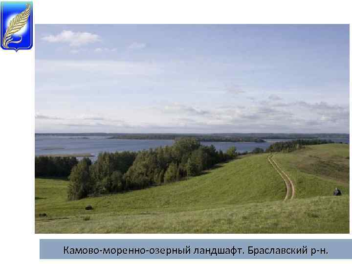 Камово-моренно-озерный ландшафт. Браславский р-н. 
