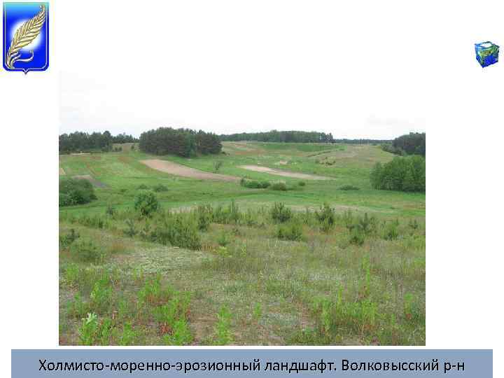 Холмисто-моренно-эрозионный ландшафт. Волковысский р-н 