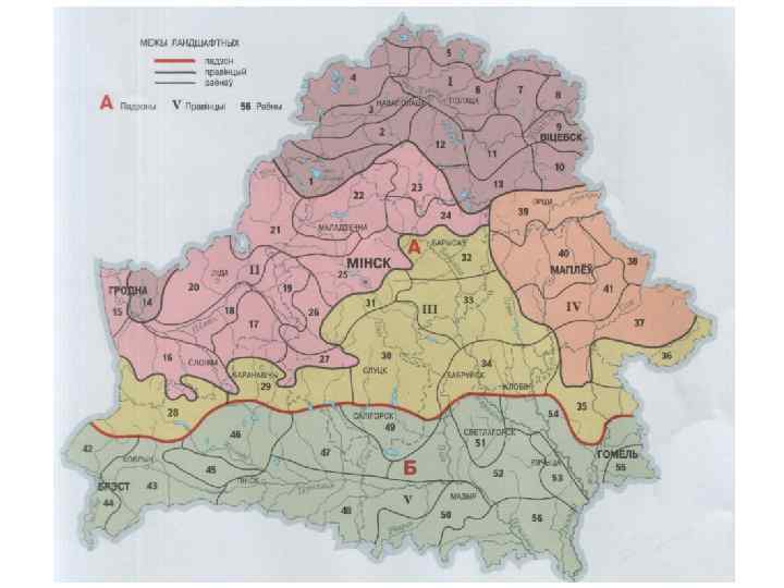 А. В. Таранчук. Ландшафты Беларуси 