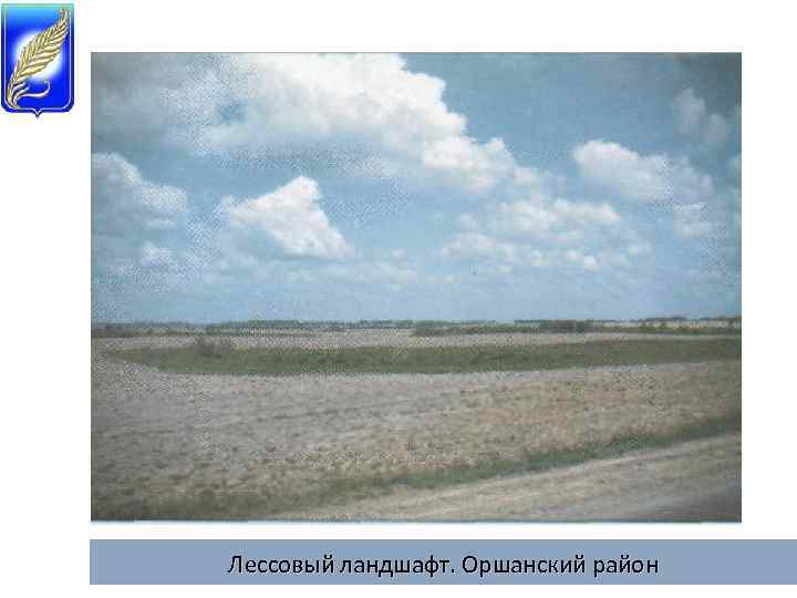 Лессовый ландшафт. Оршанский район 