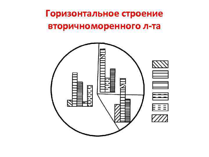 Горизонтальное строение вторичноморенного л-та 