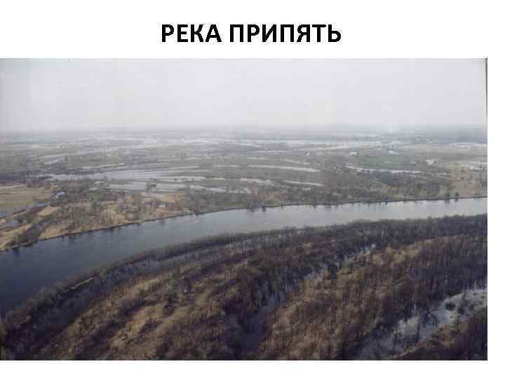РЕКА ПРИПЯТЬ 