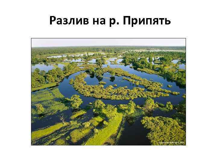 Разлив на р. Припять 