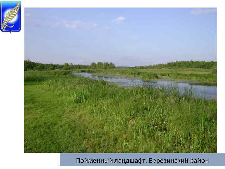 Пойменный ландшафт. Березинский район 