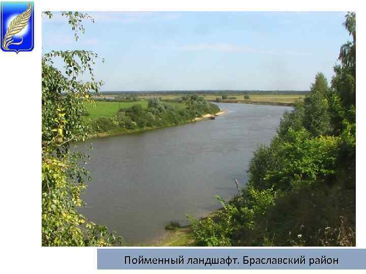 Пойменный ландшафт. Браславский район 