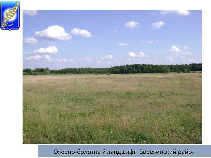 Озерно-болотный ландшафт. Березинский район 