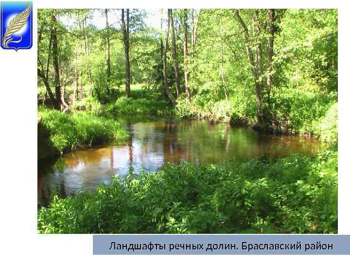 Ландшафты речных долин. Браславский район 