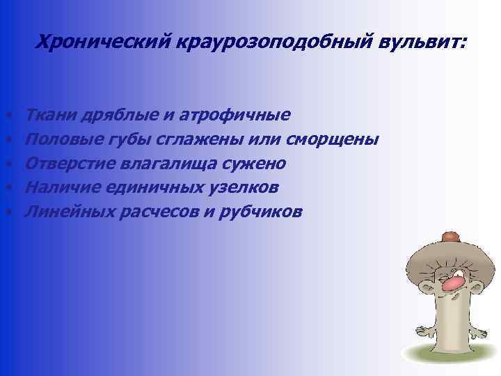 Хронический краурозоподобный вульвит: • • • Ткани дряблые и атрофичные Половые губы сглажены или