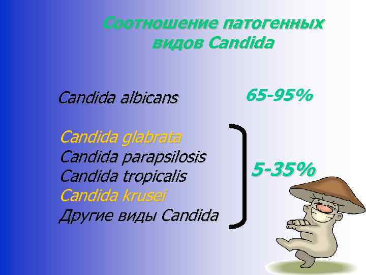 Соотношение патогенных видов Candida albicans Candida glabrata Candida parapsilosis Candida tropicalis Candida krusei Другие