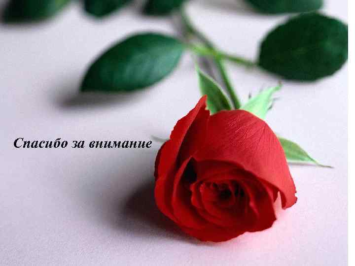 Спасибо за внимание 