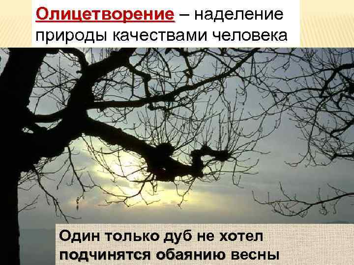 Олицетворение – наделение природы качествами человека Один только дуб не хотел подчинятся обаянию весны
