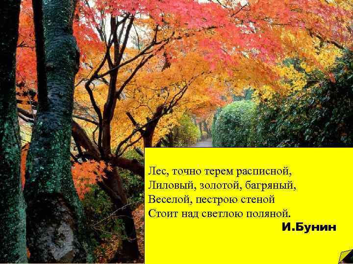 Лес, точно терем расписной, Лиловый, золотой, багряный, Веселой, пестрою стеной Стоит над светлою поляной.