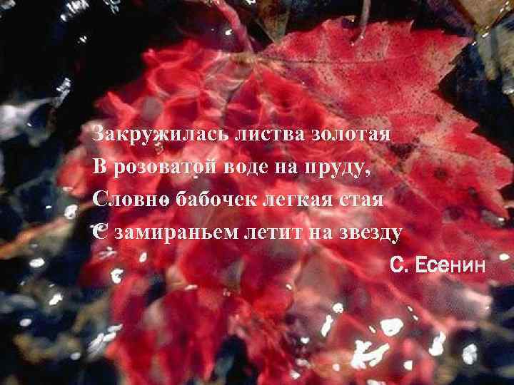Закружилась листва золотая В розоватой воде на пруду, Словно бабочек легкая стая С замираньем
