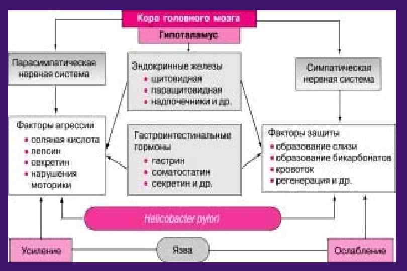 Схемы лечения язвенной болезни желудка и двенадцатиперстной