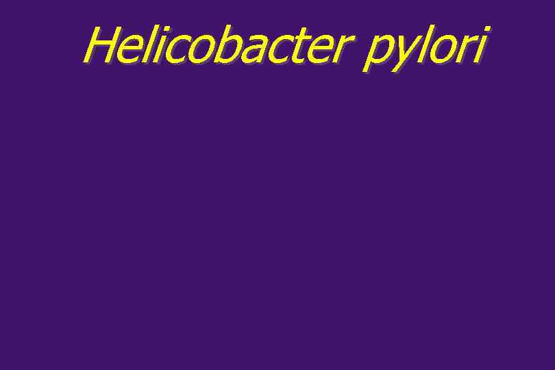 Helicobacter pylori 