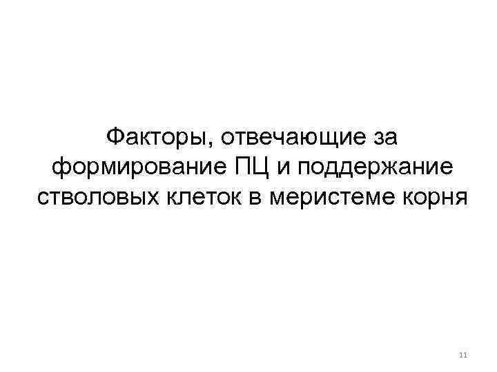 Факторы, отвечающие за формирование ПЦ и поддержание стволовых клеток в меристеме корня 11 