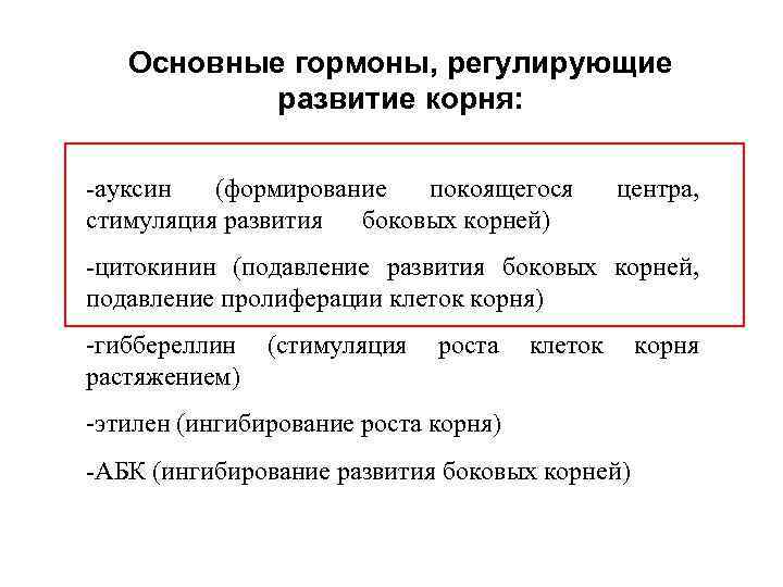 Основные гормоны, регулирующие развитие корня: -ауксин (формирование покоящегося стимуляция развития боковых корней) центра, -цитокинин