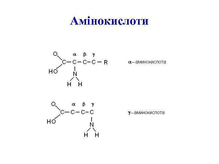 Амінокислоти 