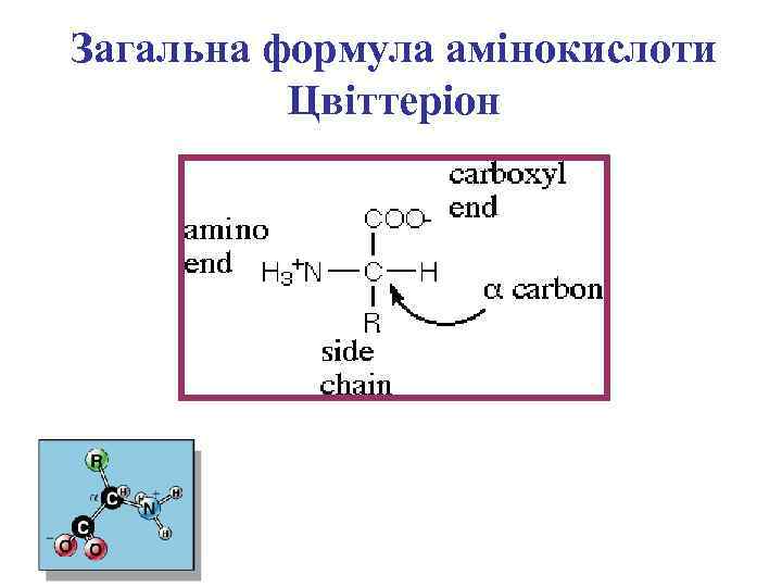 Загальна формула амінокислоти Цвіттеріон 