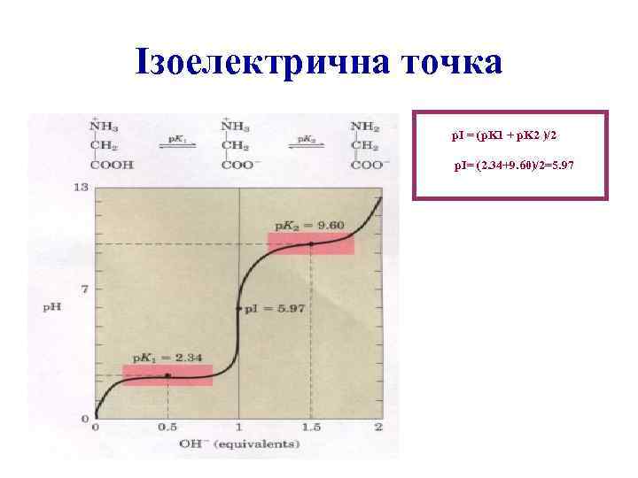 Ізоелектрична точка p. I = (p. K 1 + p. K 2 )/2 p.