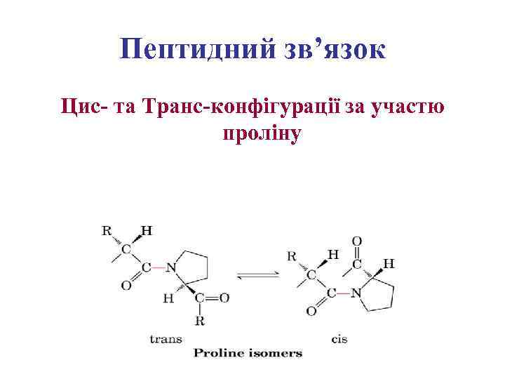 Пептидний зв’язок Цис- та Транс-конфігурації за участю проліну 