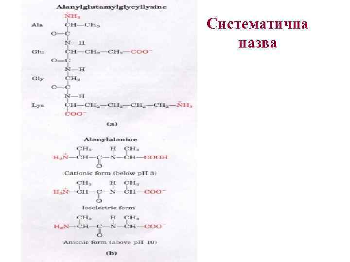 Систематична назва 