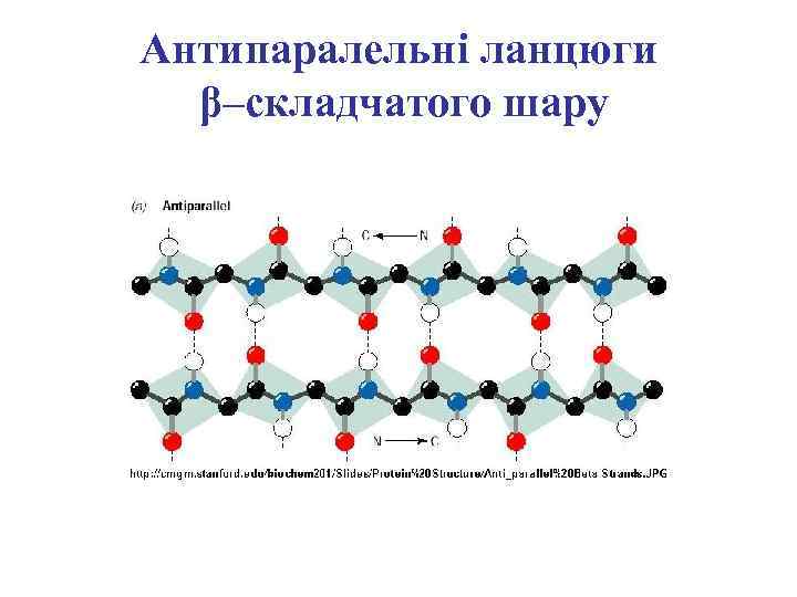 Антипаралельні ланцюги β–складчатого шару 