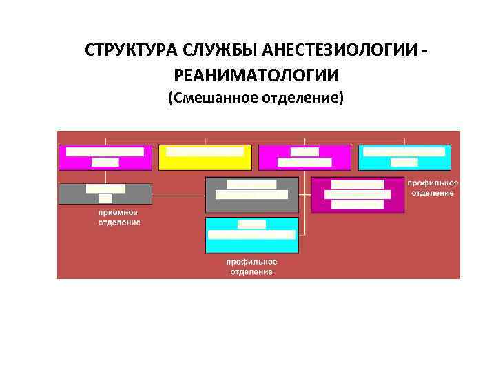 СТРУКТУРА СЛУЖБЫ АНЕСТЕЗИОЛОГИИ - РЕАНИМАТОЛОГИИ (Смешанное отделение) 