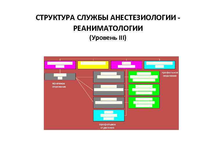СТРУКТУРА СЛУЖБЫ АНЕСТЕЗИОЛОГИИ - РЕАНИМАТОЛОГИИ (Уровень III) 
