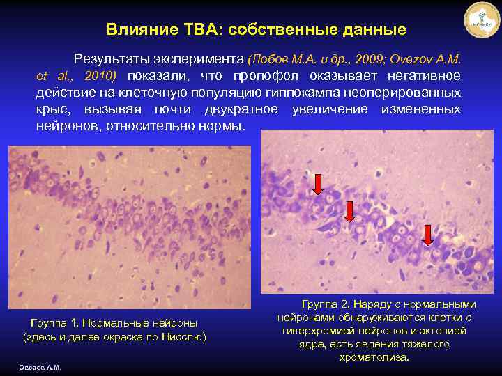 Влияние ТВА: собственные данные Результаты эксперимента (Лобов М. А. и др. , 2009; Ovezov