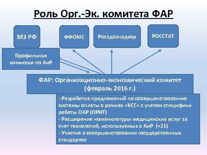 Роль Орг. -Эк. комитета ФАР МЗ РФ ФФОМС Росздавнадзор РОССТАТ Профильная комиссия по Аи.