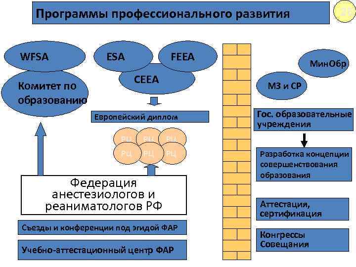 Программы профессионального развития WFSA ESA FEEA СEЕA Комитет по образованию 26 Мин. Обр МЗ
