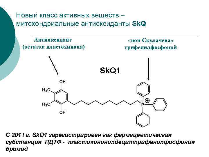 Проект ионы скулачева