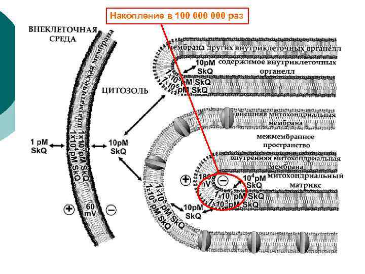 Накопление в 100 000 раз 
