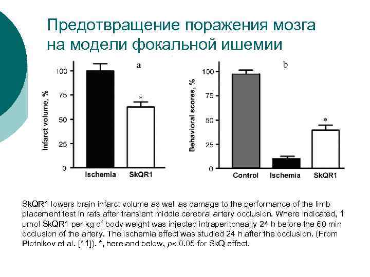 Предотвращение поражения мозга на модели фокальной ишемии Sk. QR 1 lowers brain infarct volume